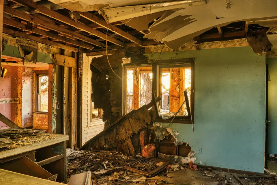 Leading Mold Removal Company In Clearwater — Clearwater, FL