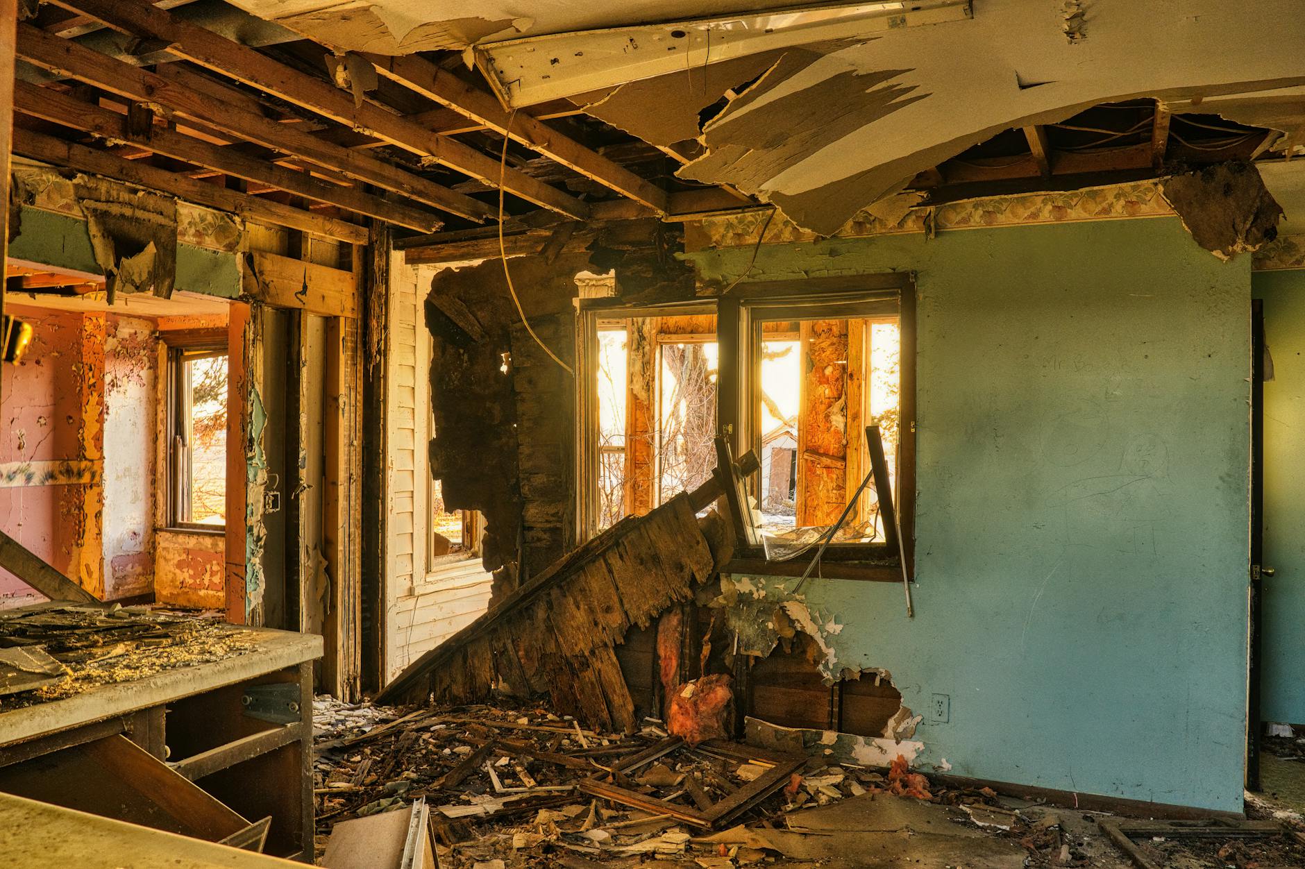 Mold Removal Mold Gallery Clearwater